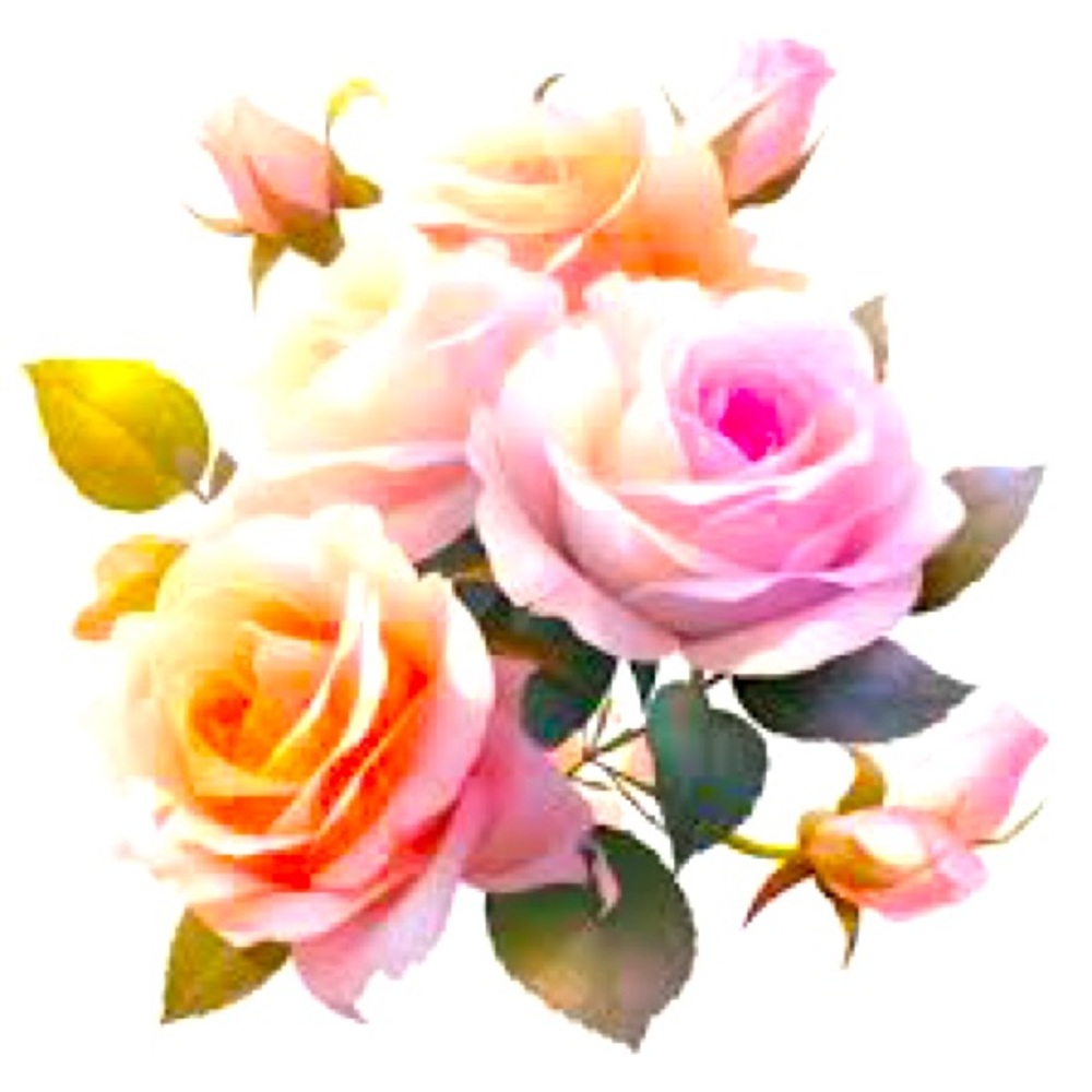 Roses are Red